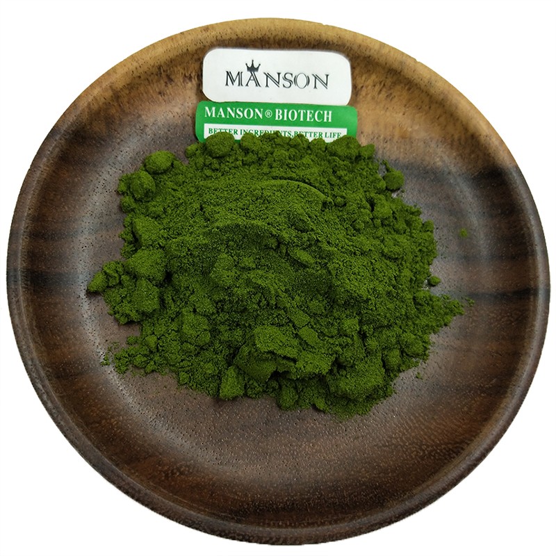 Bulk Supply 100% Organic Natural Pure Green Tea Matcha Powder