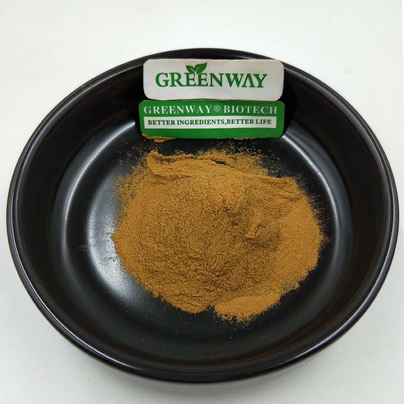 Organic 10:1 Hovenia Dulcis Thunb. P.E/Hovenia Dulcis Extract Turnjujube Powder