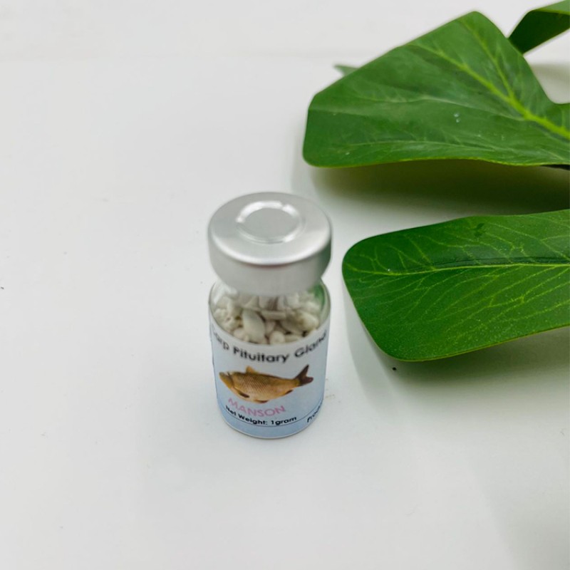 Supply High Quality Carp Pituitary Gland