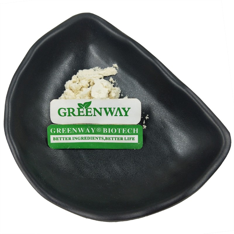 Natural Organic Saponin 40% Soybean Extract Soyasaponin