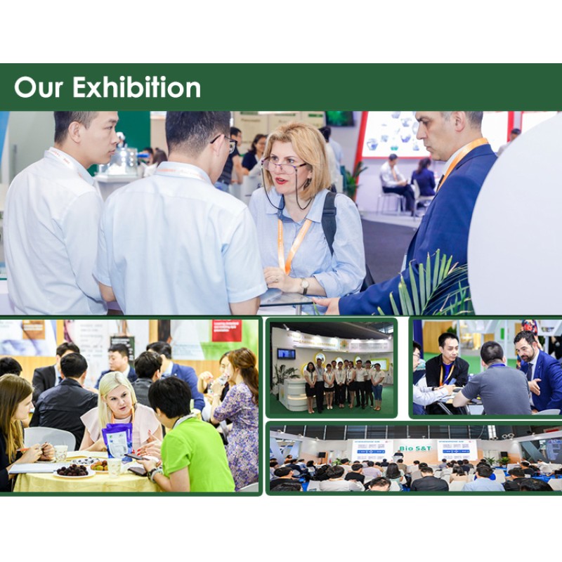 Top Quality Carp Pituitary Gland Extract