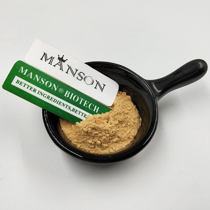 Supply Natural Bamboo Extracts Powder 5% Bambusa Vulgaris Flavonoids Pure Bamboo Leaf Extract