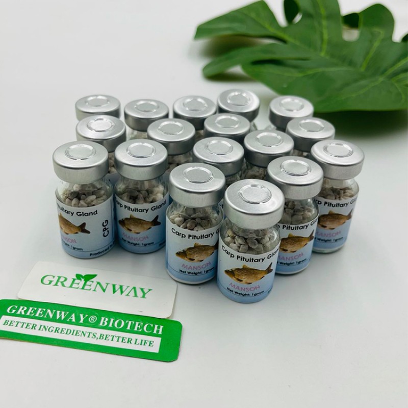 Top Grade Fish Breeding Extract CCP CPG Common Carp Pituitary Gland