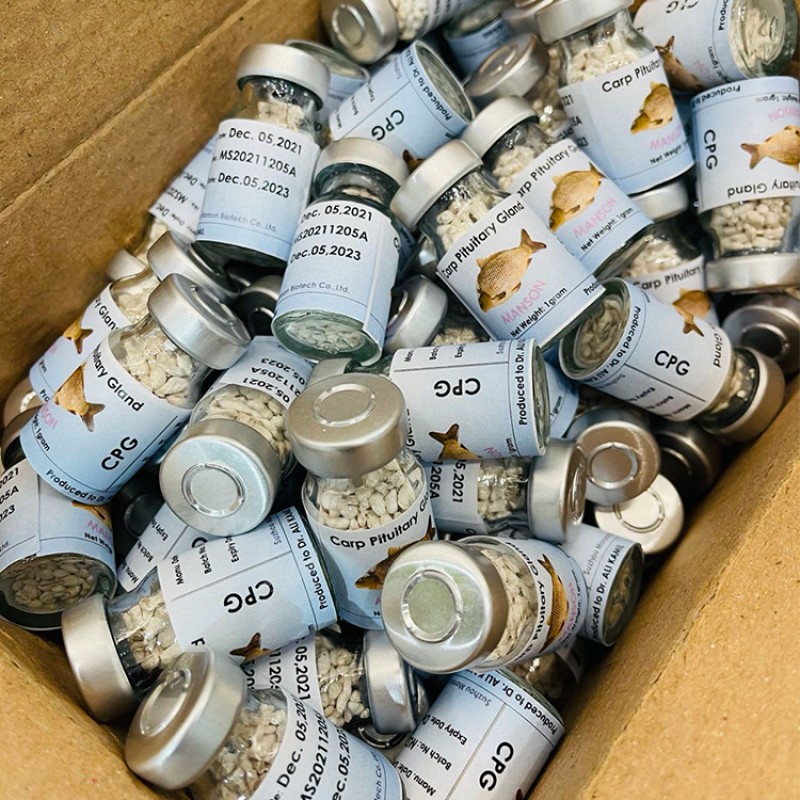 Top Grade Fish Breeding Extract CCP Carp Pituitary Extract CPG Common Carp Pituitary Gland