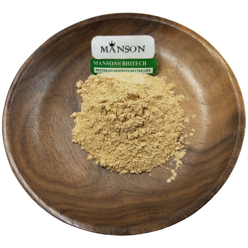 Food Supplement Plant Extract Pure Ajuga Turkestanica 2% 10% 10:1 Turkesterone Powder