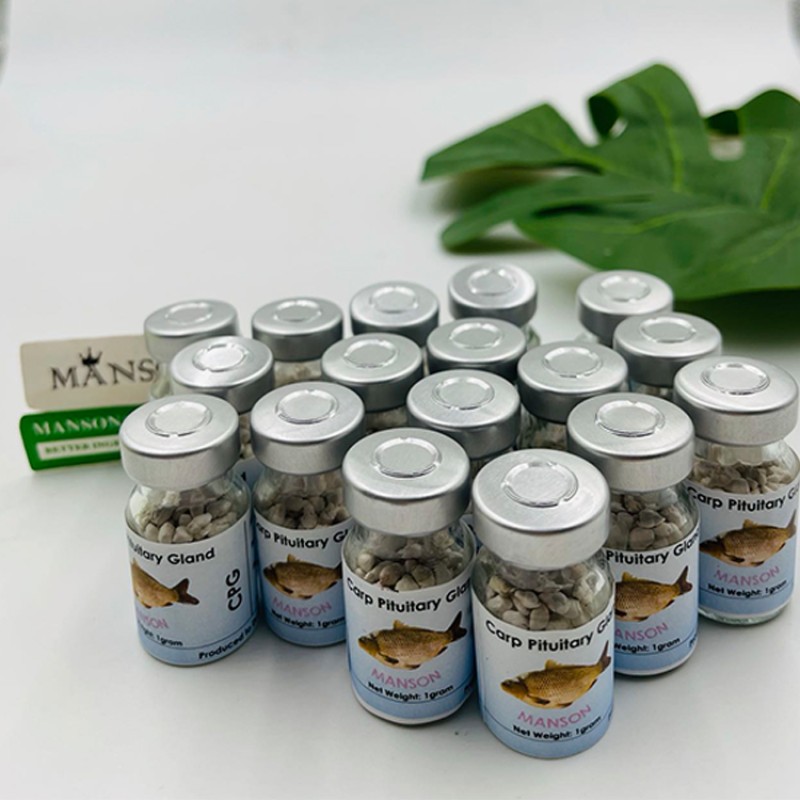 Top Grade Fish Breeding Extract CCP Carp Pituitary Extract CPG Common Carp Pituitary Gland
