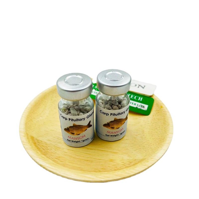 Top Grade Fish Breeding Extract CCP CPG Common Carp Pituitary Gland