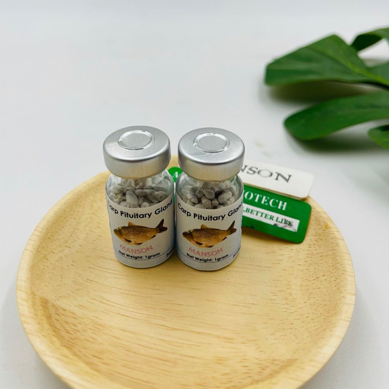 Supply High Quality Carp Pituitary Gland