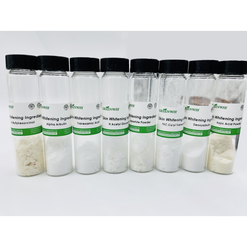 Food Supplement Plant Extract Pure Ajuga Turkestanica 2% 10% 10:1 Turkesterone Powder