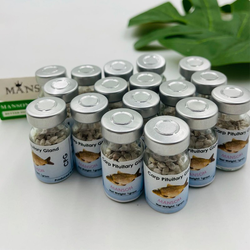 Supply High Quality Carp Pituitary Gland