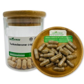 OEM Supplement Private Label Natural Ajuga Turkestanica Extract Turkesterone Powder 500mg Pure Turkesterone Capsules