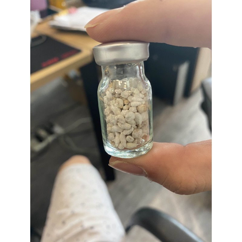 Russia Common Carp Pituitary Gland