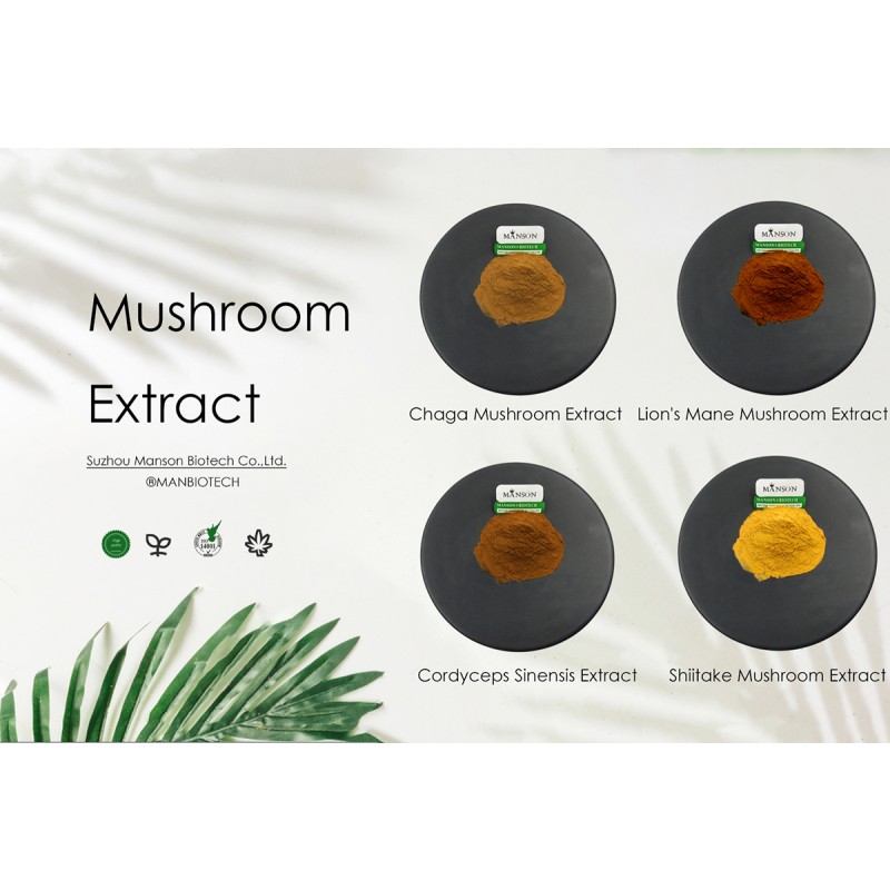 Incense Long Lasting Fragrance Cosmetic Natural and Organic Bulk Red Sandalwood Powder