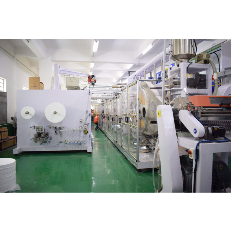 Disposable Diaper Factory - Baby Clothes Sanitary Paper