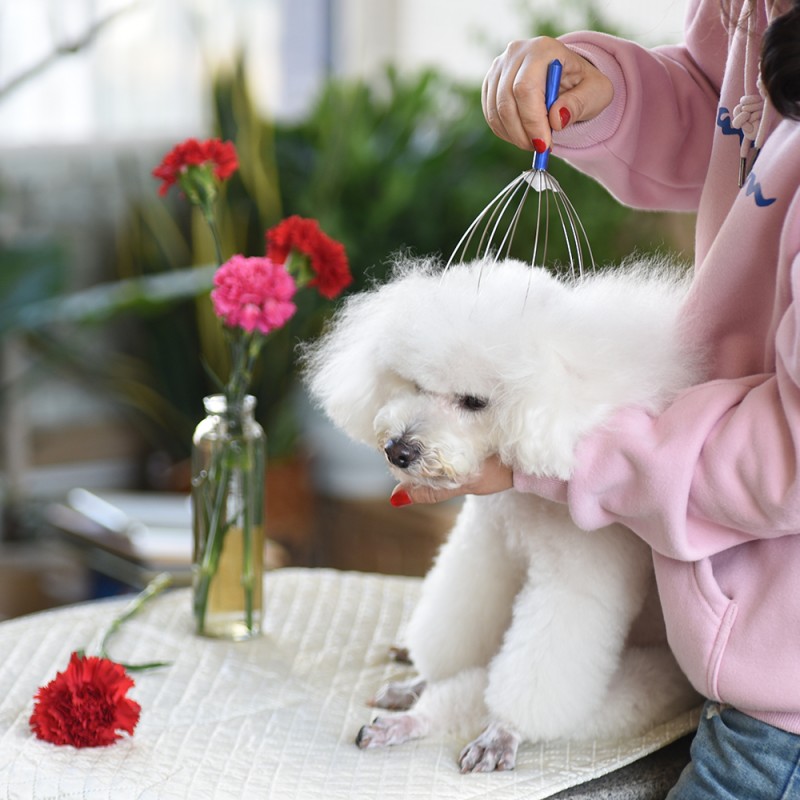 Head Massager Factory - OEM Custom Octopus Scalp Massager