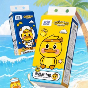 Wall Hanging Tissue Manufacturer - Virgin Wood Pulp Eco-Friendly