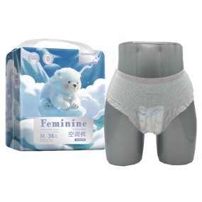 Sanitary Pants Manufacturer - Women Ultradry Period Panties Cloth Like Underwear Wholesale