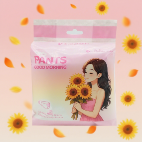 Sanitary Pants Manufacturer - Women Ultradry Period Panties Cloth Like Wholesale OEM