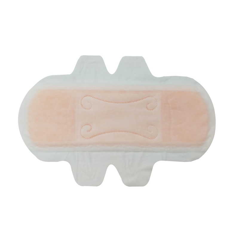 Sanitary Napkins Manufacturer - Ladies Menstrual Pant Female Private Label Custom