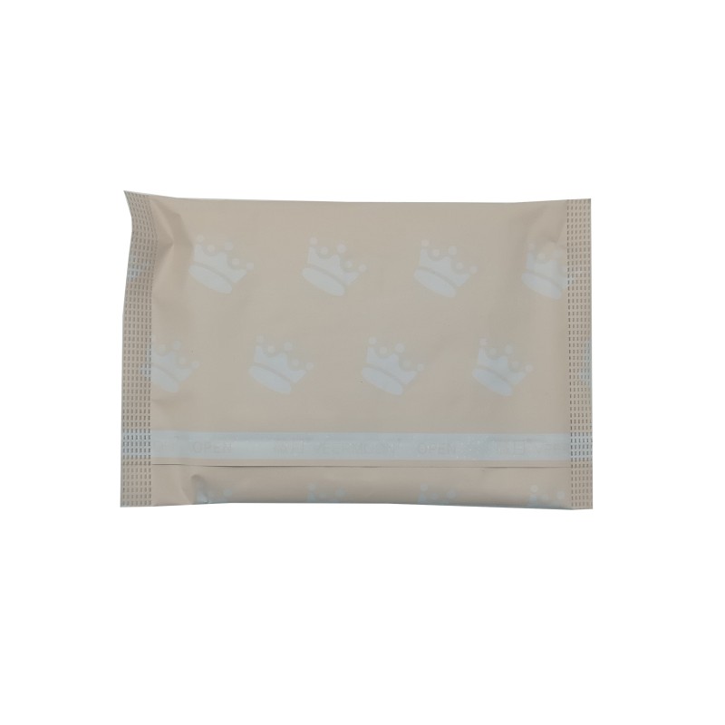 Sanitary Napkins Manufacturer - OEM Brand Disposable Female Sanitary Pad for Women