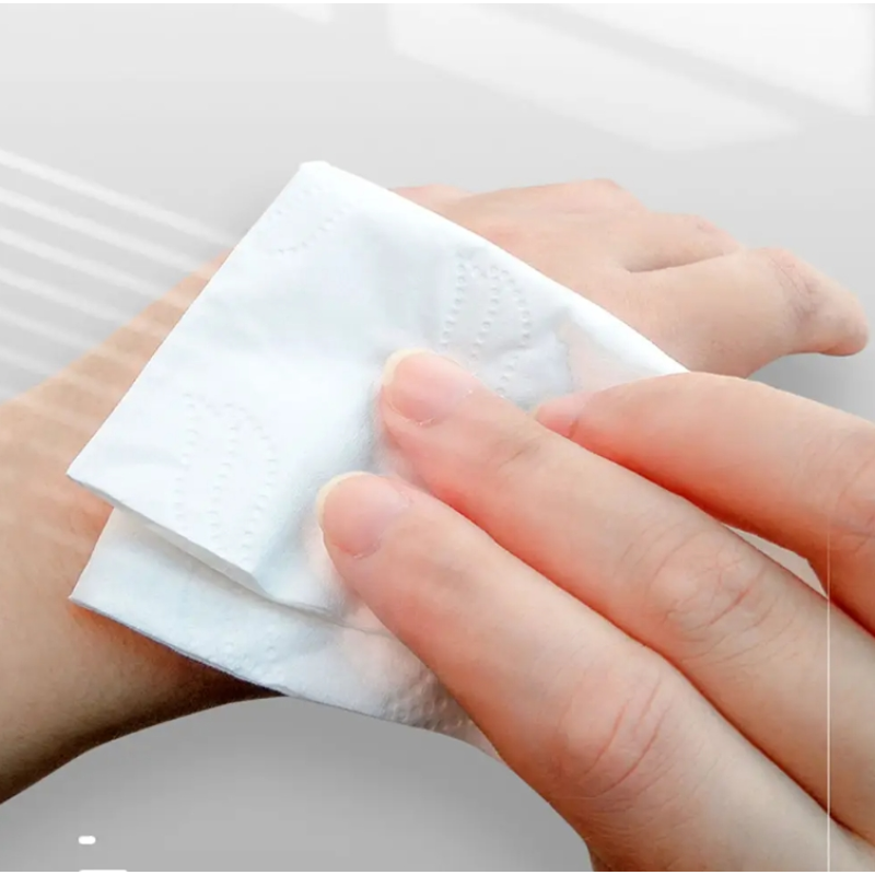 Pocket Tissue Manufacturer - Travel 4Ply 10 Pack Paper Cotton with Lotion Container