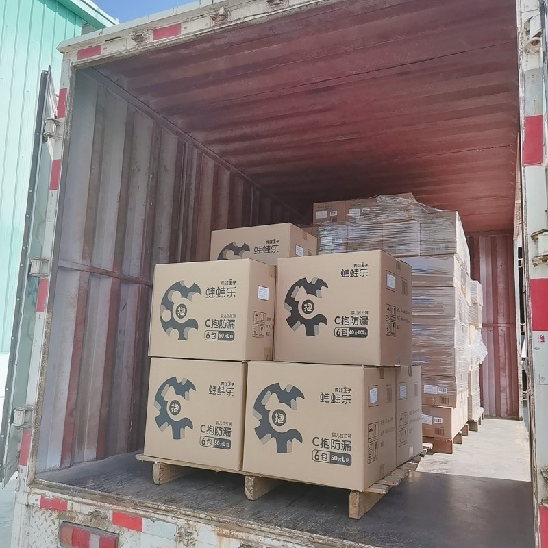 Pet Wipes Manufacturer - Wholesale Eco-friendly OEM Private Label 100pcs Cleaning