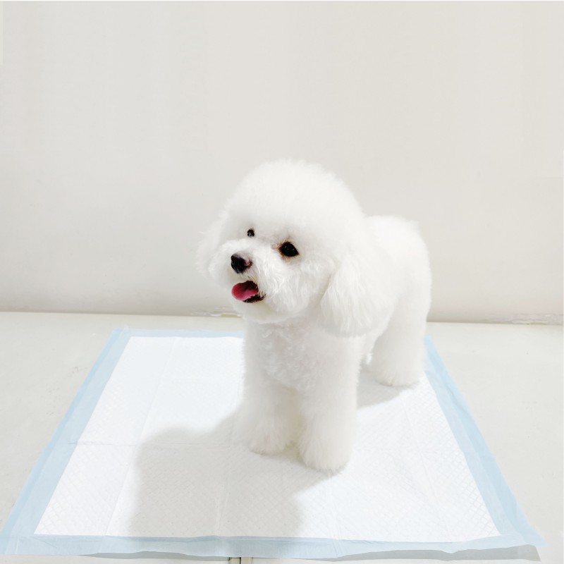 Pet Pads Manufacturer - Super Absorbency 6 Ply Reusable Dog Diaper Wet Pads