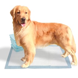 Pet Training Pads Manufacturer - Cheap Price Free Sample Disposable Puppy Pad