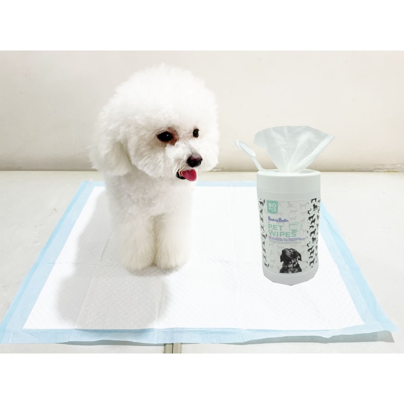 Pet Pads Manufacturer - High Absorbent Disposable Incontinence Leak-proof Training