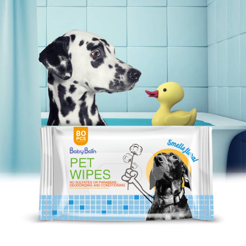 Pet Wipes Manufacturer - Wholesale Eco-friendly OEM Private Label 100pcs Cleaning