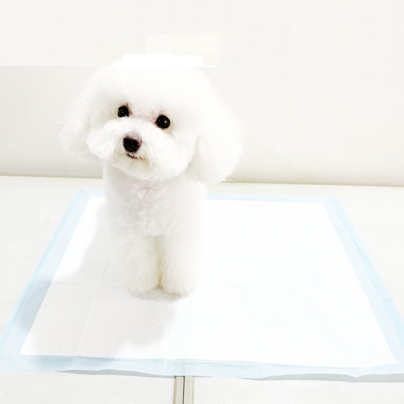Pet Pads Manufacturer - Super Absorbency 6 Ply Reusable Dog Diaper Wet Pads