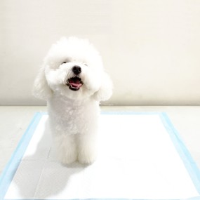 Pet Training Pads Manufacturer - Hot Selling Puppy Urine Pee Mat Disposable