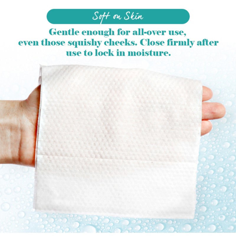 Pet Wipes Manufacturer - Wholesale Eco-friendly OEM Private Label 100pcs Cleaning