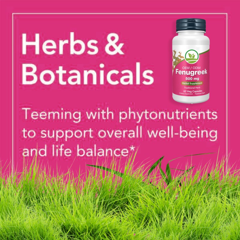 OEM Vegan Organic 500mg Fenugreek Extract Capsules with 50% Flavonoids Natural Herbal Supplement for Women Adults