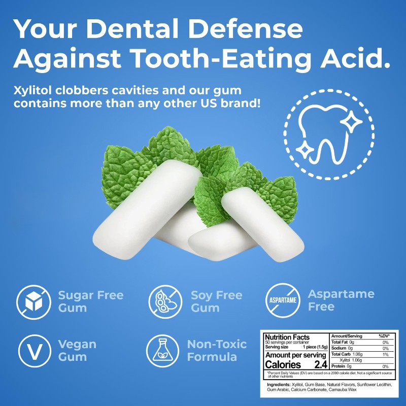 OEM High Energy Mints Vegan Hot Selling Sugar-Free Xylitol Chewing Gum 12 PCS  Mint Flavor Teeth Oral Care Fresh Non-sticky Gum