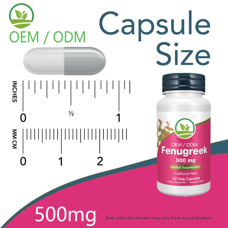 OEM Vegan Organic 500mg Fenugreek Extract Capsules with 50% Flavonoids Natural Herbal Supplement for Women Adults