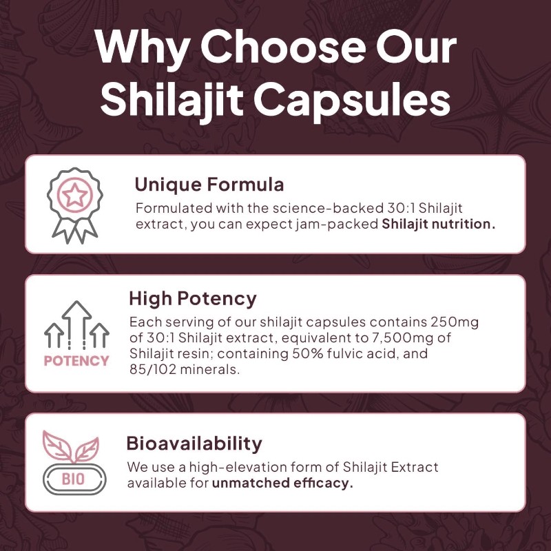 OEM Private Label Natural Pure Fulvic Acid Healthcare Supplement Shilajit Extract Capsules Himalayan Shilajit Capsule