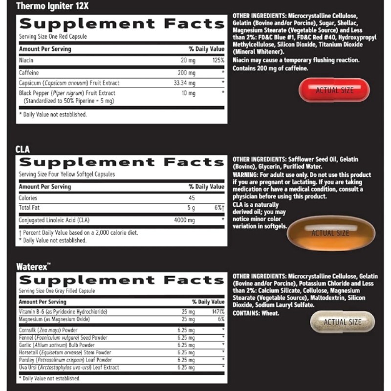 OEM Men's Ripped 4 - in - 1 Muscle Performance & Fat Burn Supplement Pack Wholesale Natural High-quality Male Capsules