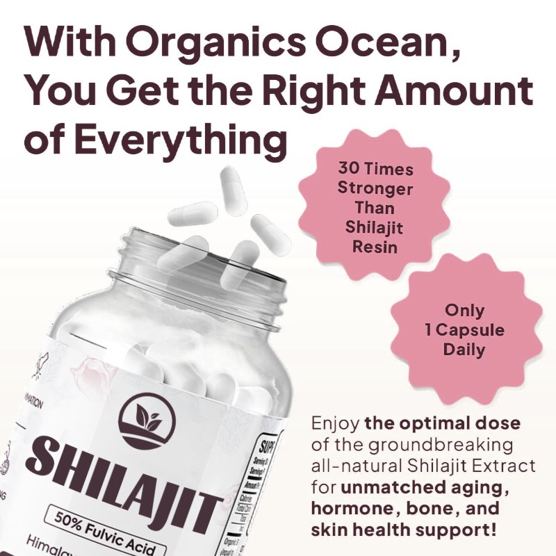 OEM Private Label Natural Pure Fulvic Acid Healthcare Supplement Shilajit Extract Capsules Himalayan Shilajit Capsule