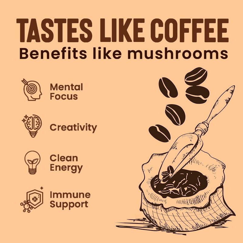 OEM Ganoderma Coffee Instant Reishi Mushroom Coffee Extract Powder Organic Lions Mane Mushroom Coffee Energy Powder