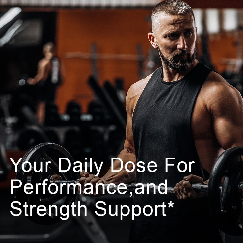 OEM Wholesale Creatine Monohydrate Powders  Enhance Explosive Creatine Powder for Fitness and Muscle Building Herbal Supplements