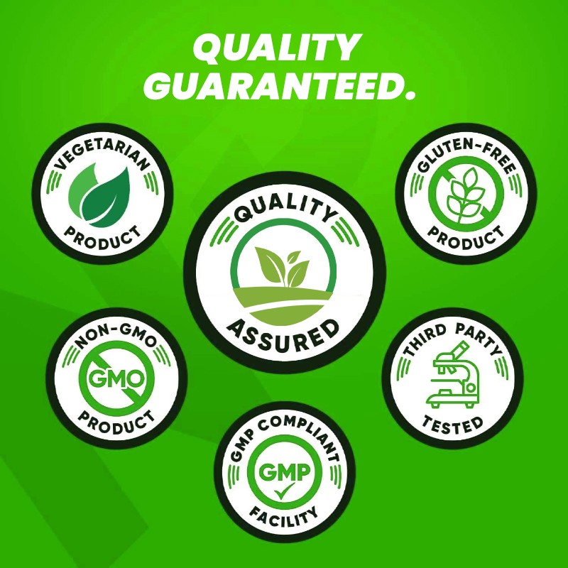 OEM Wholesale Price Vegan Herb Extract Amino Acid Supplement Manufacturers BCAA Drink Energy Drink Bulk 2:1:1 BCAA Powder