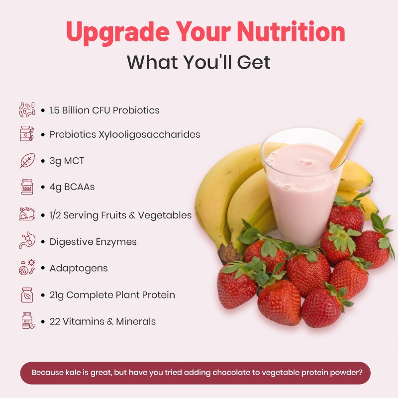 OEM Vegan Meal Replacement Shake Plant Protein Powder- Strawberry Banana Flavor, Probiotics Vitamins Dietary Fiber Supplements