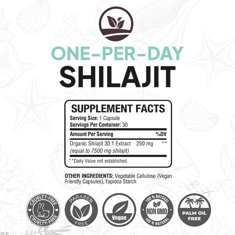 OEM Private Label Natural Pure Fulvic Acid Healthcare Supplement Shilajit Extract Capsules Himalayan Shilajit Capsule