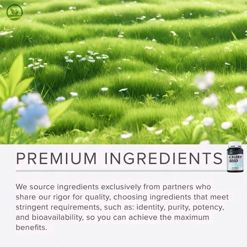 OEM Factory Supply Vegan Celery Seed Softgels Capsules - Urinary Tract Health & Antioxidant Support Supplements