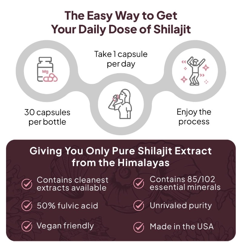 OEM Private Label Natural Pure Fulvic Acid Healthcare Supplement Shilajit Extract Capsules Himalayan Shilajit Capsule