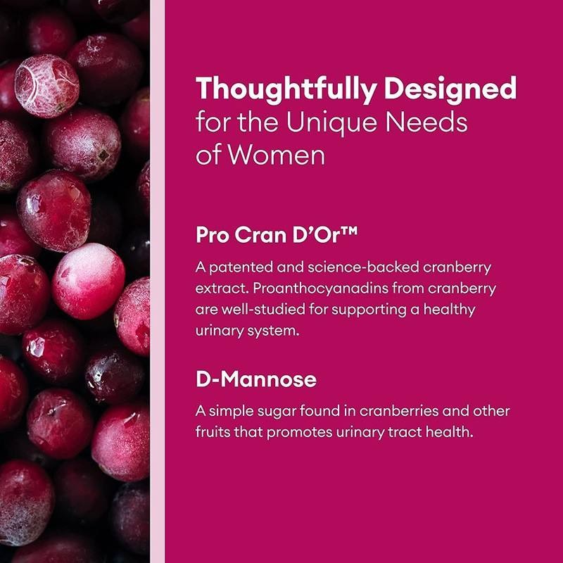 OEM Hot Sale Vegan Capsules Probiotic Supplement for Digestive Support and Vaginal Health Support for Women Herbal Supplement