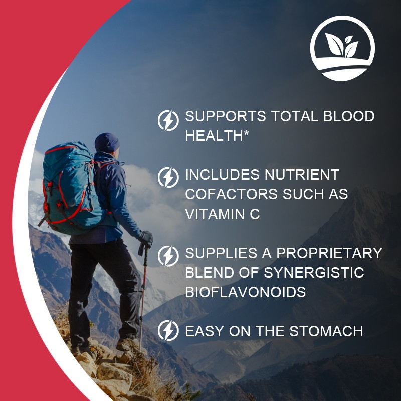 OEM /ODM Private Label Capsules 60 Soft Capsules with Vitamin C and Iron Blood Health Support Herbal Supplement