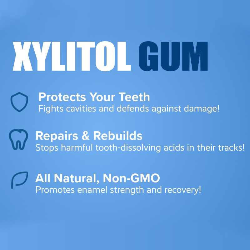 OEM High Energy Mints Vegan Hot Selling Sugar-Free Xylitol Chewing Gum 12 PCS  Mint Flavor Teeth Oral Care Fresh Non-sticky Gum