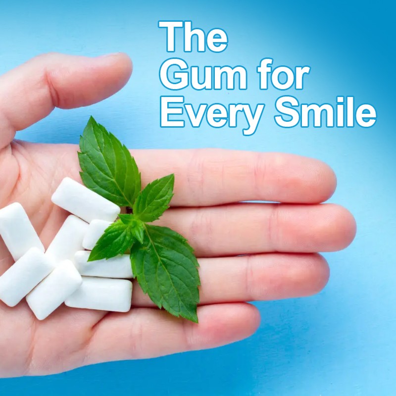 OEM High Energy Mints Hot Selling Sugar-Free Xylitol Chewing Gum Mint Flavor Better for Teeth Oral Care Fresh Non-sticky Gum